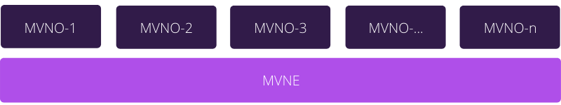 Mobile Virtual Network Enabler - (MVNE)