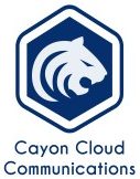 Logo-Crayon-MVNO